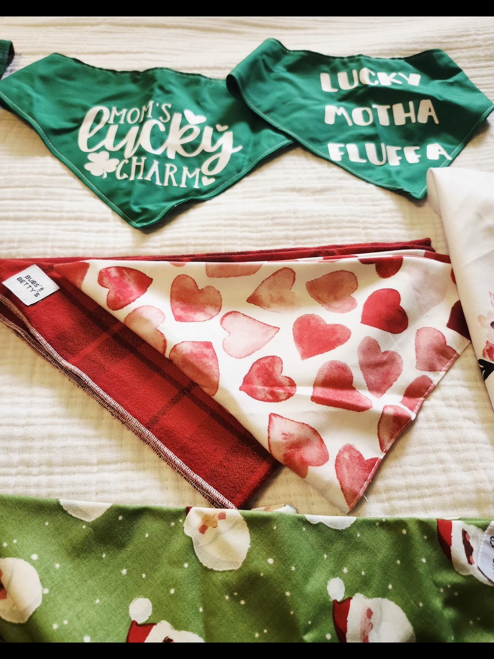 Set of 10 Large & XL Holiday Dog Bandanas – EcoPaws, Lucy & Co. & More